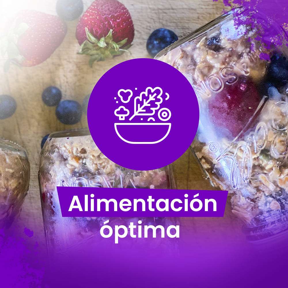 bien plantado adriana cortes portada alimentacion optima.jpg