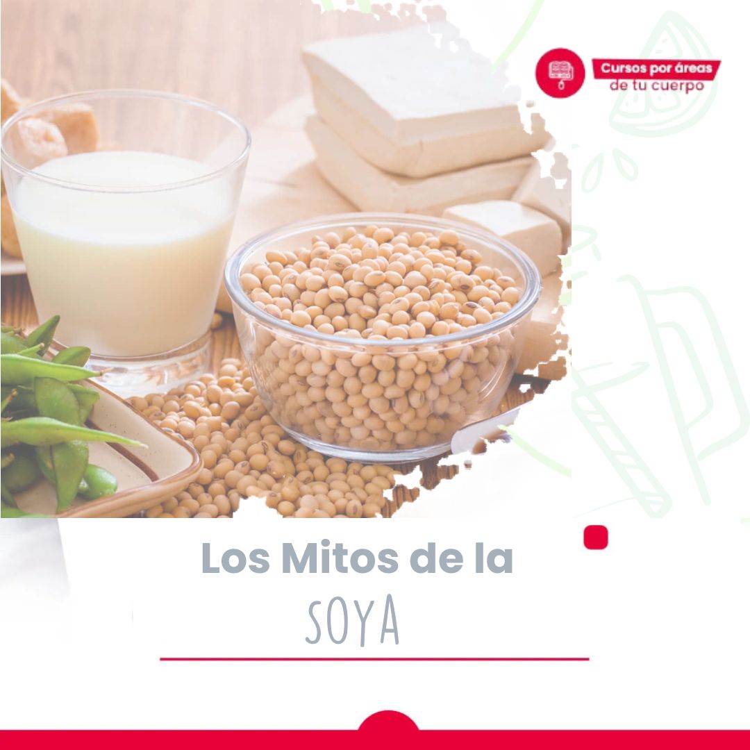 bien plantado dra adriana cortes los mitos de la soya