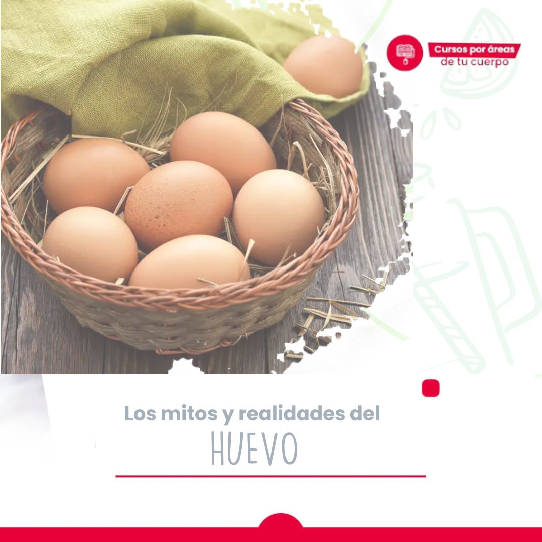 los mitos del huevo